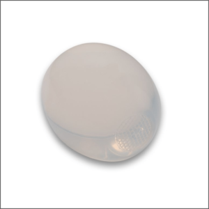 Testicular Implants